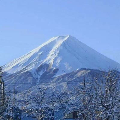 肥宅修真录无限钻石精力版下载